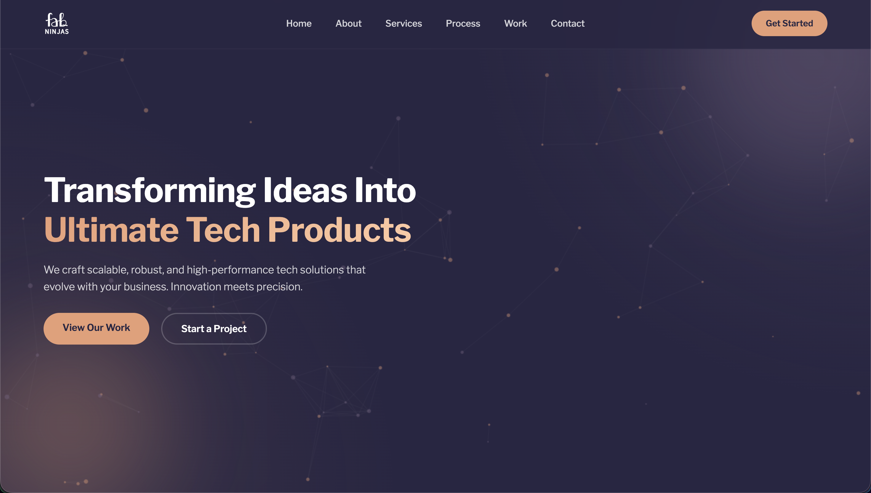 FabNinjas Single Page