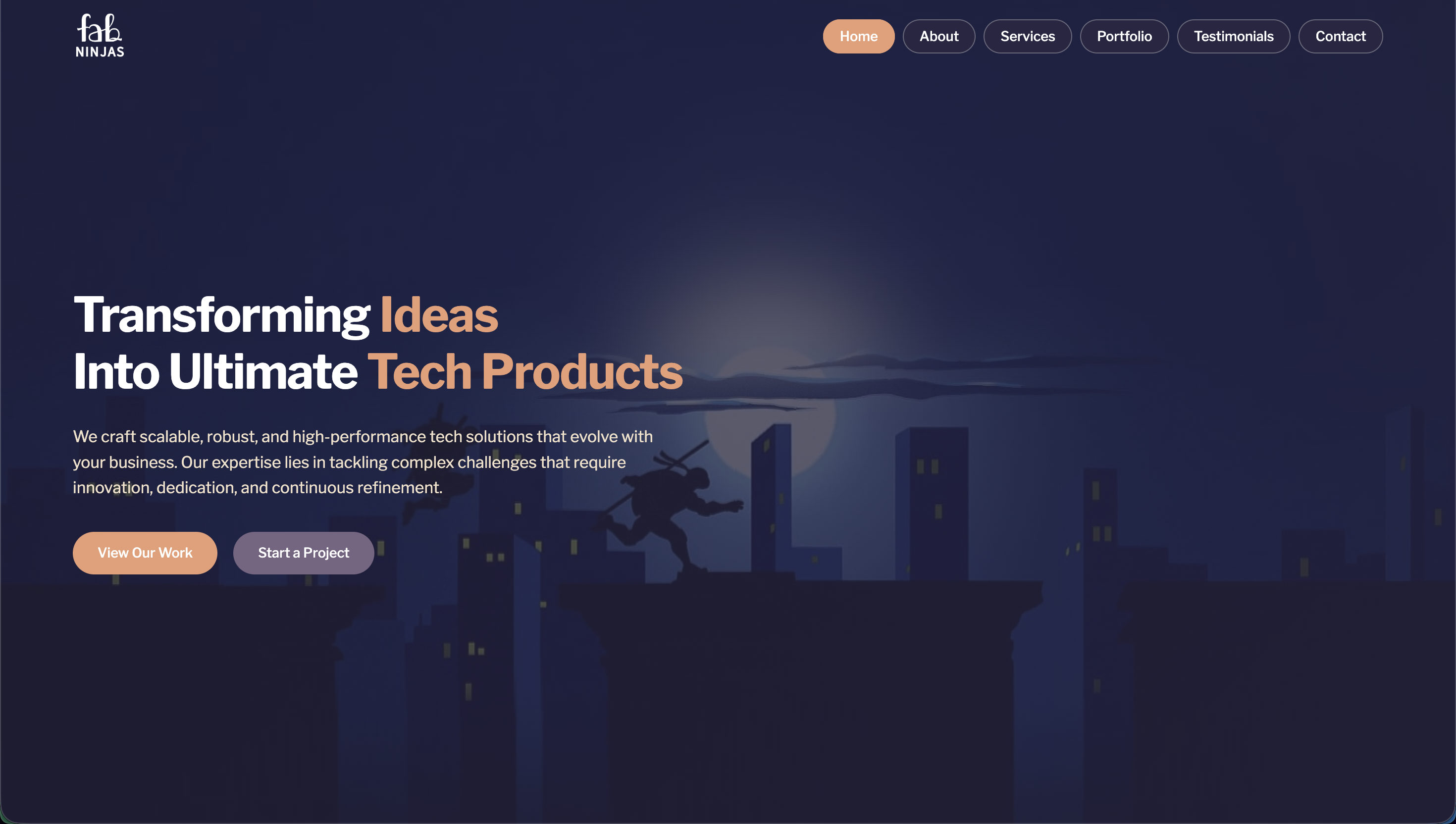 FabNinjas Single Page 2